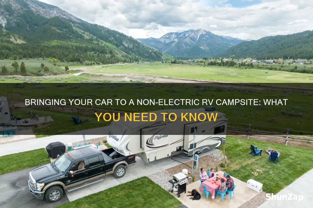 can you bring a car to rv non electric campsite