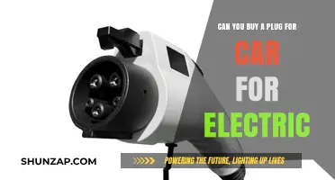Electric Vehicle Charging: Can You Buy a Plug for Your Car?