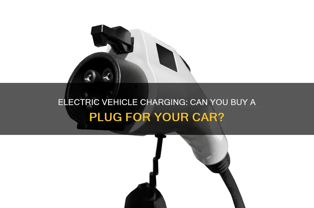 can you buy a plug for car for electric