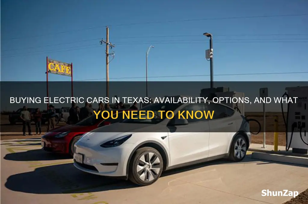 can you buy an electric car in texas
