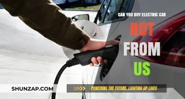 Exploring Global Options: Buying Electric Cars Outside the United States