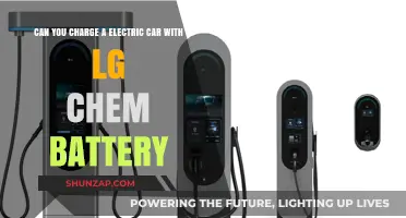 Charging Electric Cars with LG Chem Batteries: Compatibility and Efficiency Explained