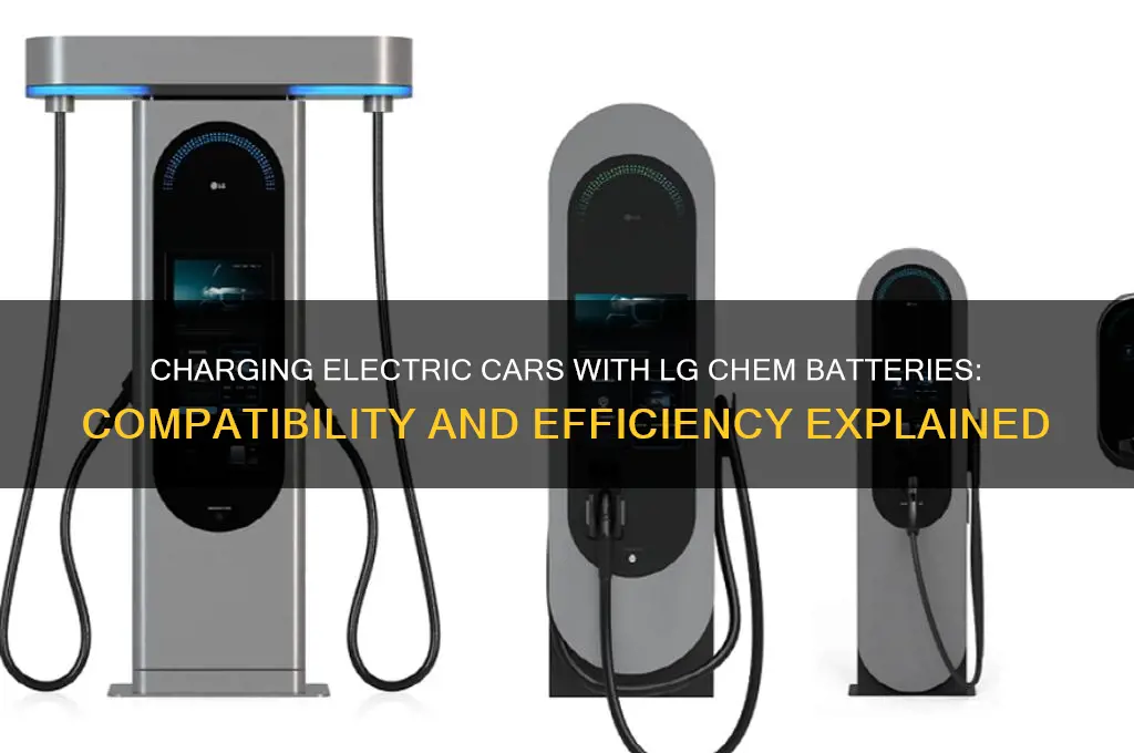 can you charge a electric car with lg chem battery