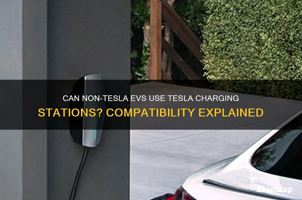 can you charge other electric cars at tesla