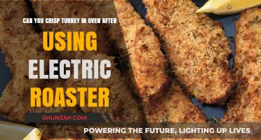 Crispy Turkey Finish: Oven Method After Electric Roaster Use