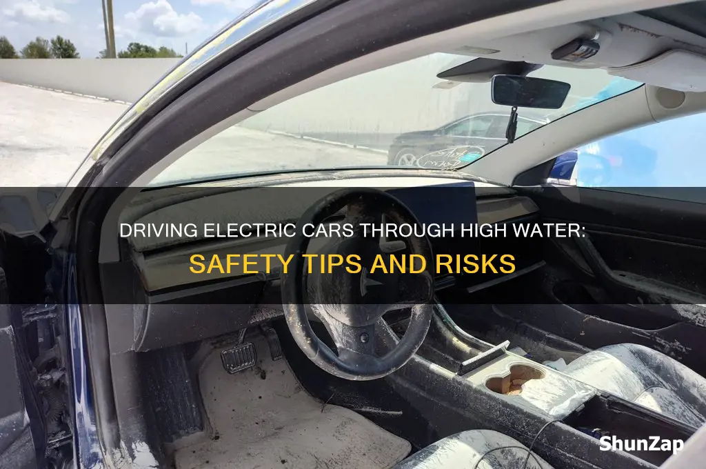 can you drive a electric car through high water