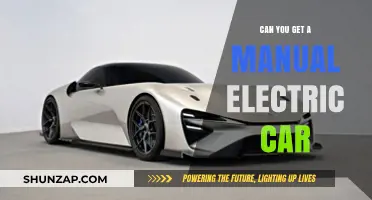 Exploring the Possibility of Manual Transmission in Electric Vehicles