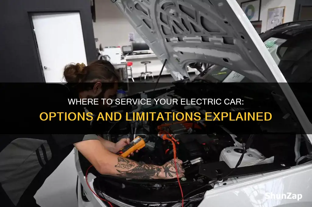 can you get an electric car serviced anywhere