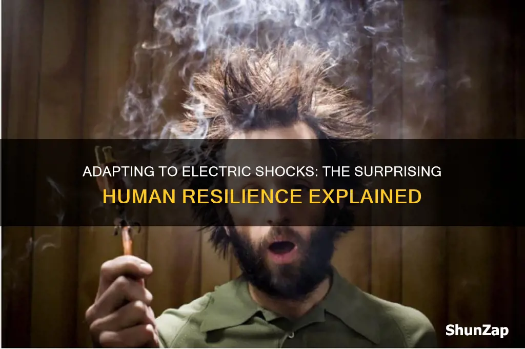 can you get used to being shocked by electricity