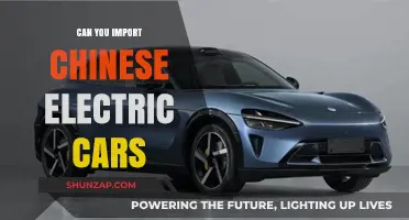 Importing Chinese Electric Cars: Regulations, Challenges, and Opportunities