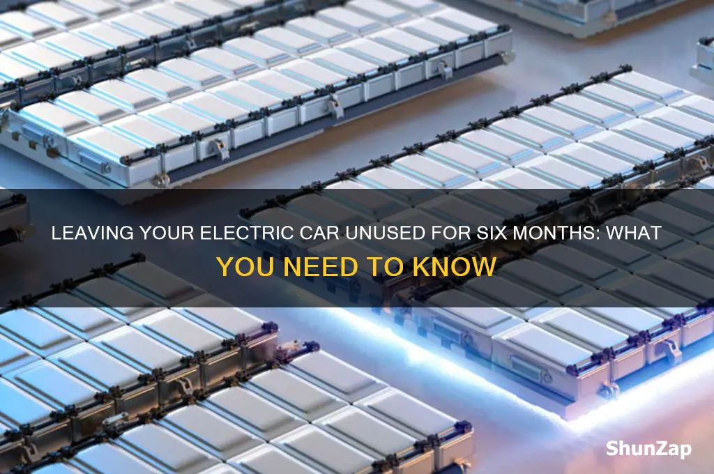 can you leave an electric car for 6 months