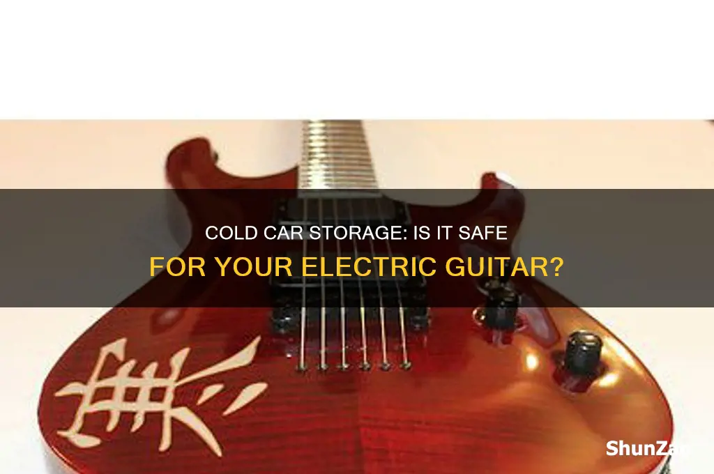 can you leave an electric guitar in a cold car
