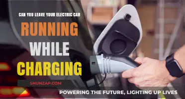 Is It Safe to Leave Your Electric Car Running During Charging?
