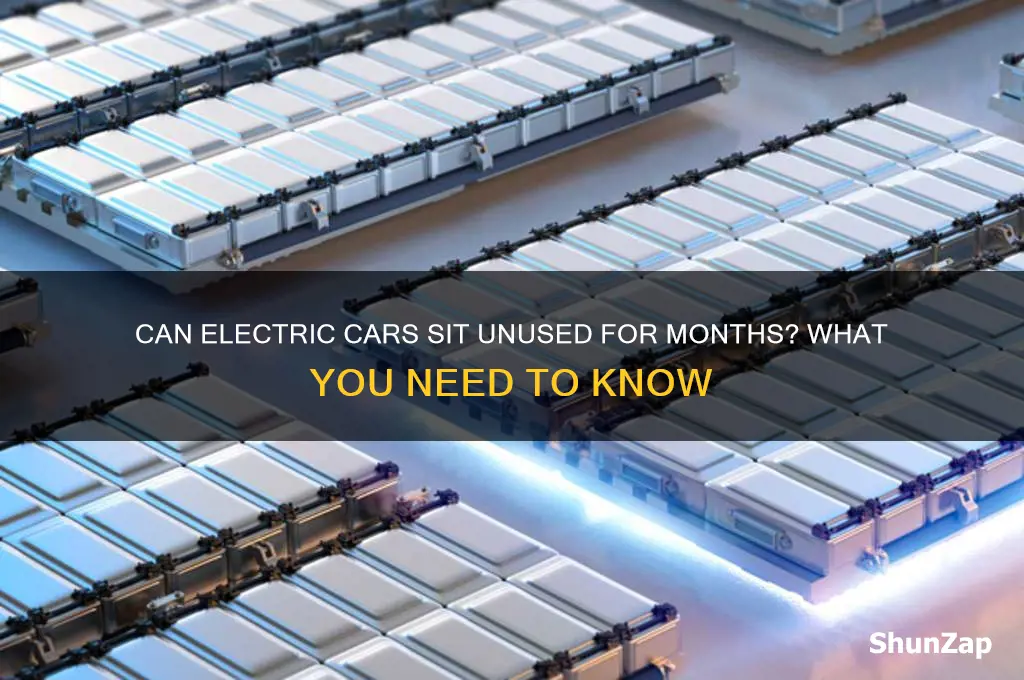 can you let an electric car sit for months
