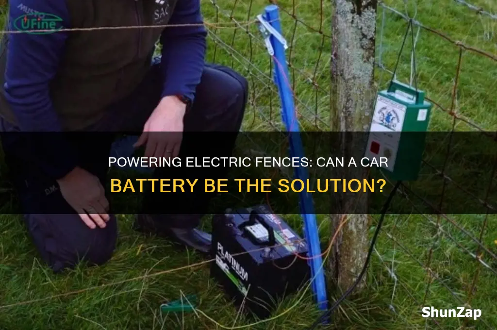 can you make an electric fence with a car battery