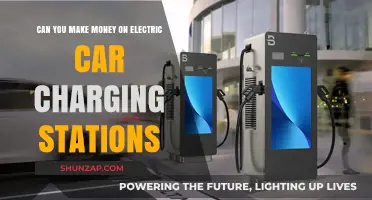 Earning Potential: Profiting from Electric Car Charging Stations