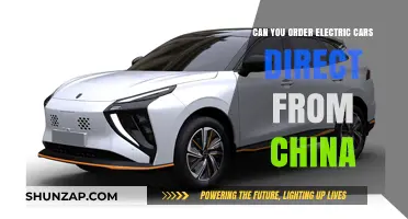 Ordering Electric Cars Directly from China: What You Need to Know
