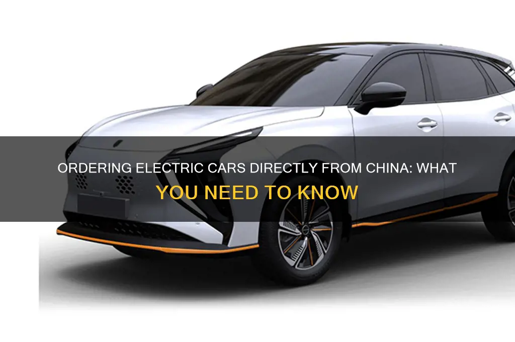 can you order electric cars direct from china