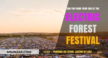 Electric Forest Festival Parking: Can You Park Your Car?