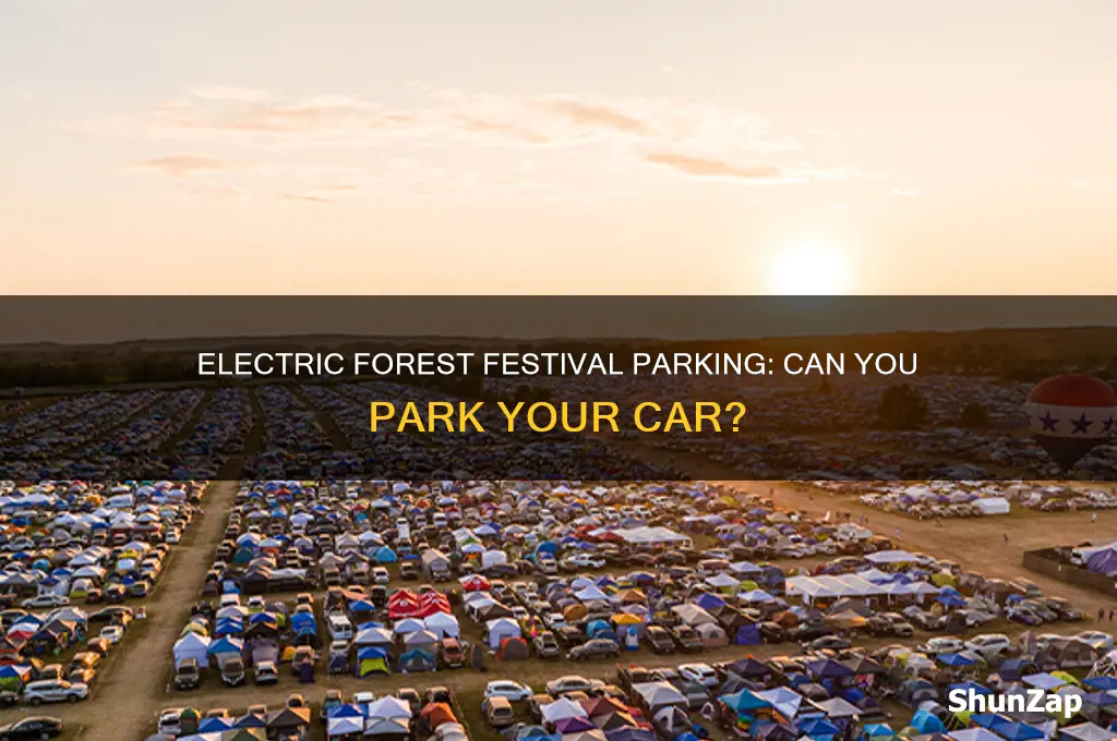 can you park your car at the electric forest festival