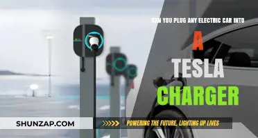 Can Any Electric Car Use a Tesla Charger? Compatibility Explained