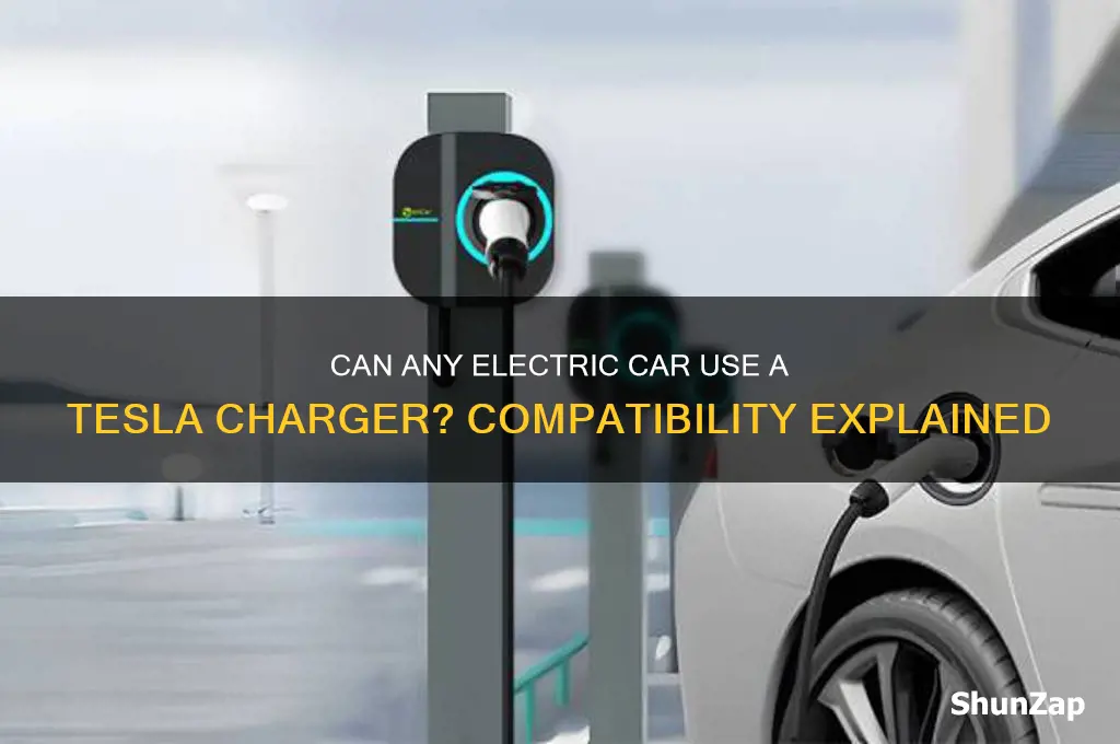 can you plug any electric car into a tesla charger