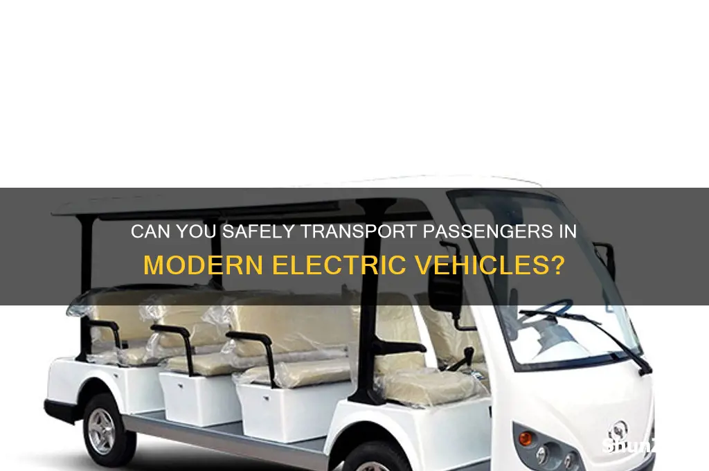 can you put people in mth electric cars