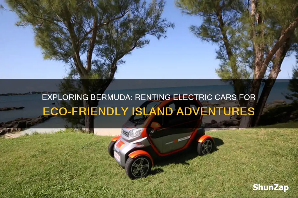 can you rent electric cars in bermuda