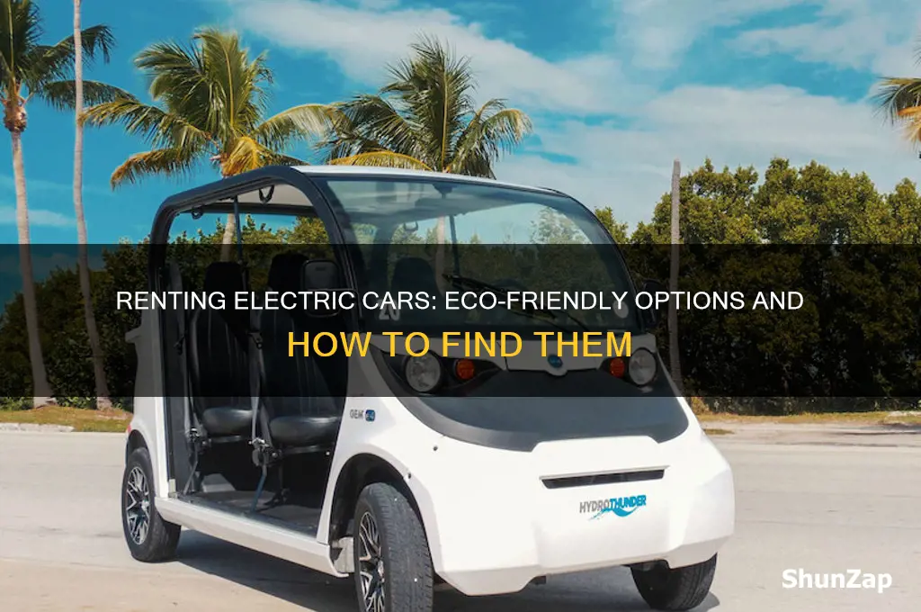 can you rent electric cars