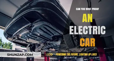 Rust-Proofing Electric Vehicles: Is It Possible and Worth the Effort?