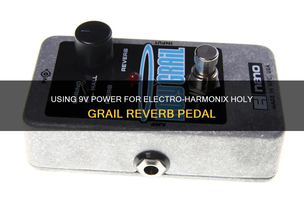 can you use 9v for electro harmonix holy grail