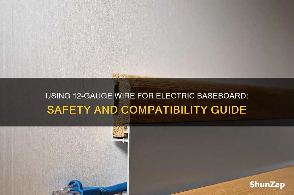 can you use a 12 gage wire for electric baseboard