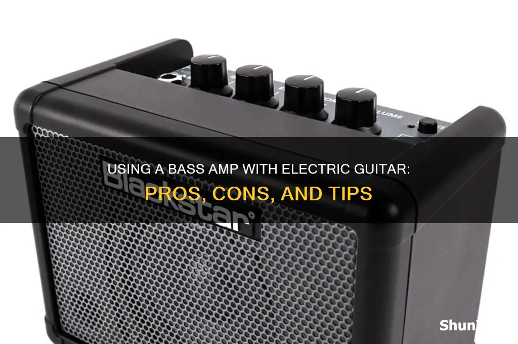can you use a bass amp with an electric guitar