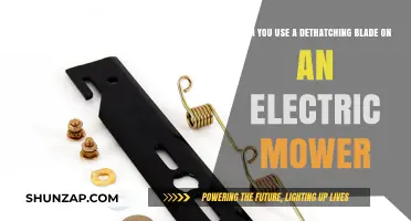 Using a Dethatching Blade on Electric Mowers: What You Need to Know