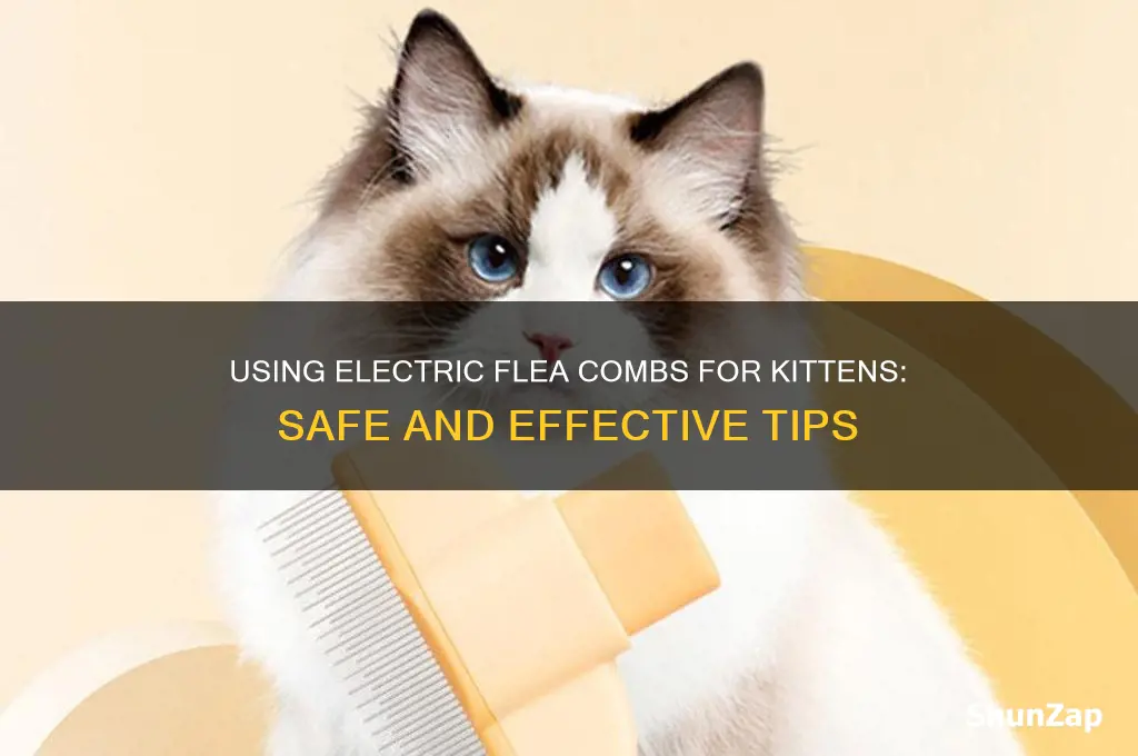 can you use a electric flea for kittens