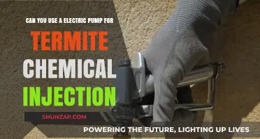 Using Electric Pumps for Termite Chemical Injection: Pros, Cons, and Tips