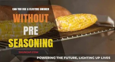 Using an Electric Smoker Without Pre-Seasoning: Is It Possible?