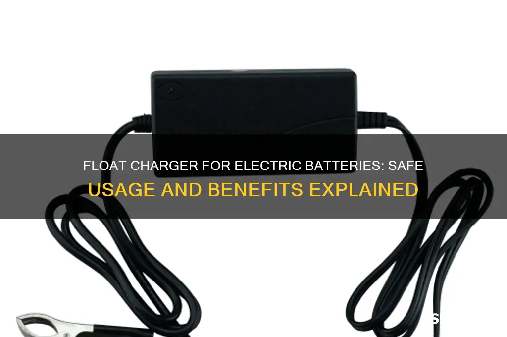 can you use a float charger on electric battery