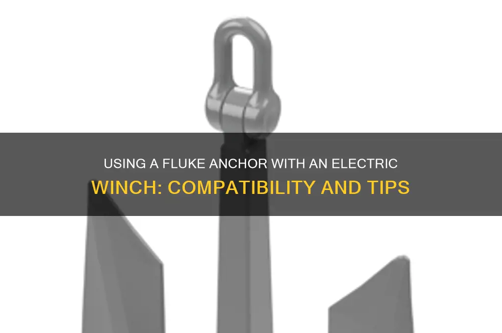 can you use a fluke anchor with an electric winch