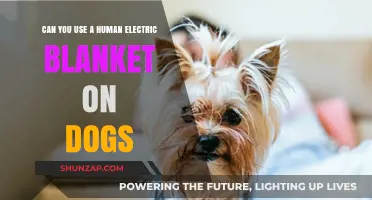 Can Dogs Safely Use Human Electric Blankets? Expert Tips and Risks