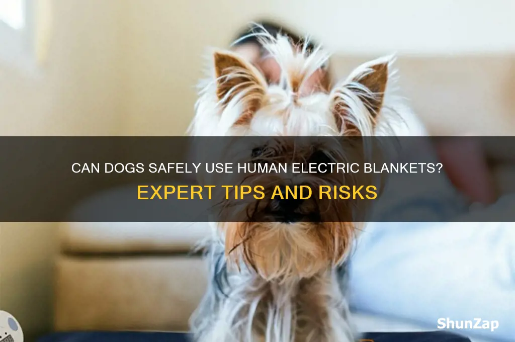 can you use a human electric blanket on dogs