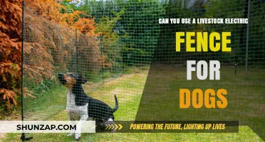 Using Livestock Electric Fences for Dogs: Safe or Risky Solution?