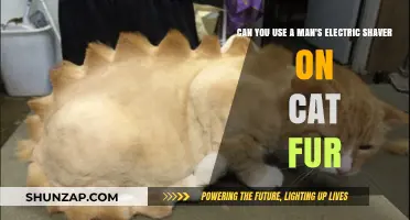 Can You Use a Man's Electric Shaver on Cat Fur?