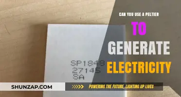 Harnessing Energy: Can Peltier Devices Generate Electricity Efficiently?