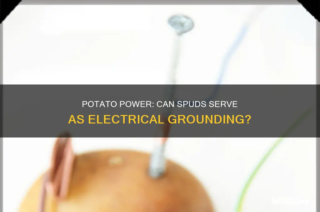 can you use a potato as electric ground