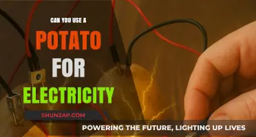 Powering Possibilities: Can Potatoes Generate Electricity? A Surprising Science
