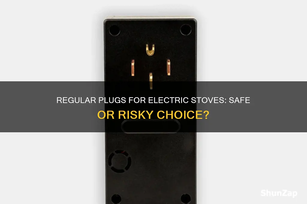 can you use a regular plug for a electric stove