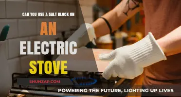 Using Salt Blocks on Electric Stoves: Safe or Risky?