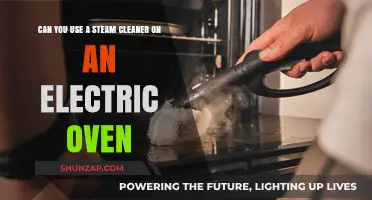 Steam Cleaning Electric Ovens: Safe, Effective, or Potential Hazard?