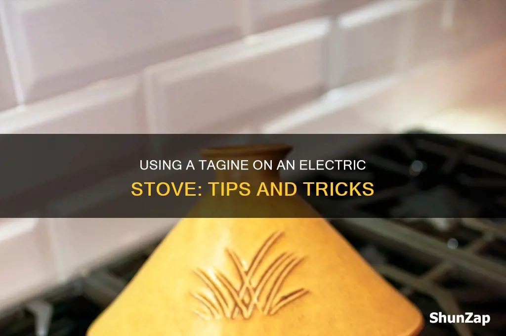 can you use a tagine on an electric stove top